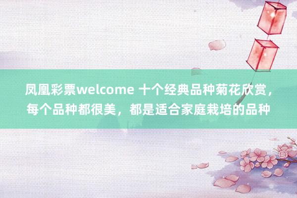 凤凰彩票welcome 十个经典品种菊花欣赏，每个品种都很美，都是适合家庭栽培的品种