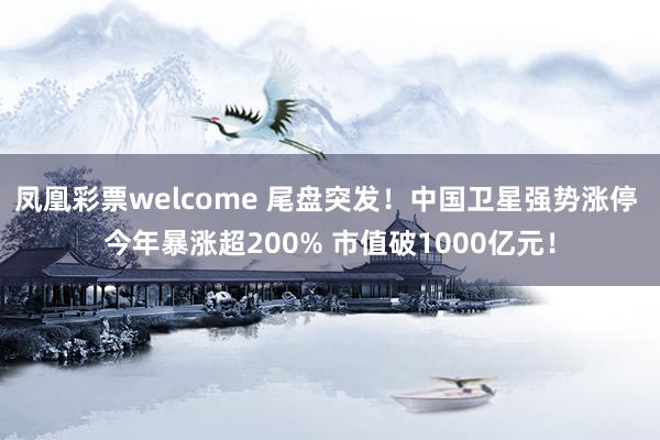 凤凰彩票welcome 尾盘突发！中国卫星强势涨停 今年暴涨超200% 市值破1000亿元！