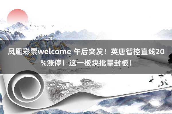 凤凰彩票welcome 午后突发！英唐智控直线20%涨停！这一板块批量封板！