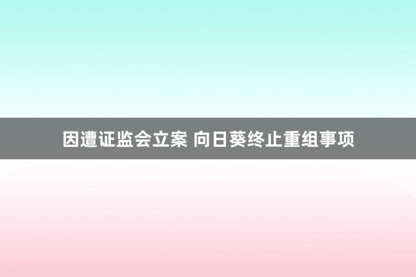 因遭证监会立案 向日葵终止重组事项