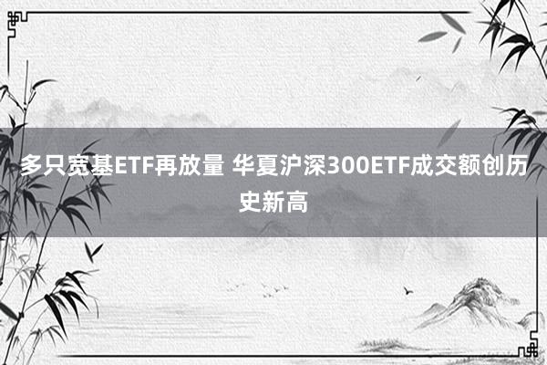 多只宽基ETF再放量 华夏沪深300ETF成交额创历史新高