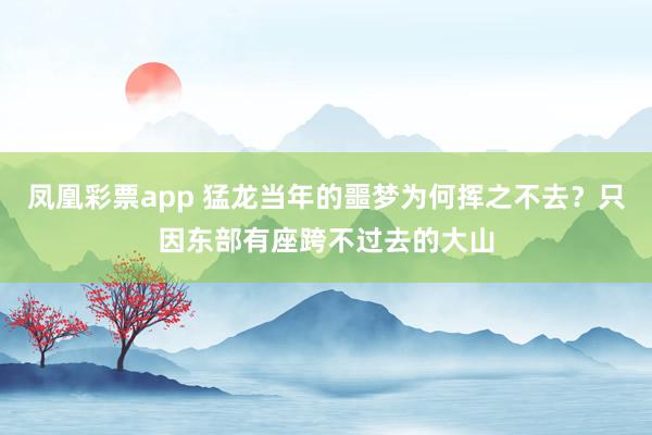 凤凰彩票app 猛龙当年的噩梦为何挥之不去？只因东部有座跨不过去的大山