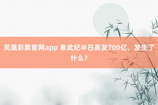 凤凰彩票官网app 寒武纪半日蒸发700亿，发生了什么？
