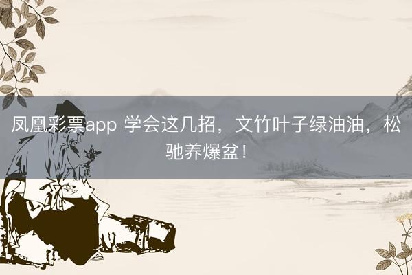凤凰彩票app 学会这几招,文竹叶子绿油油,松驰养爆盆!