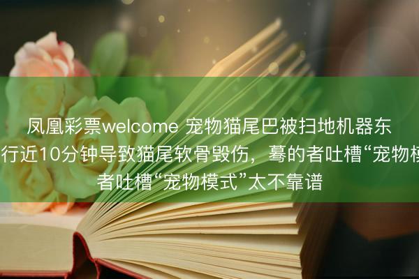 凤凰彩票welcome 宠物猫尾巴被扫地机器东谈主卷入，拖行近10分钟导致猫尾软骨毁伤，蓦的者吐槽“宠物模式”太不靠谱